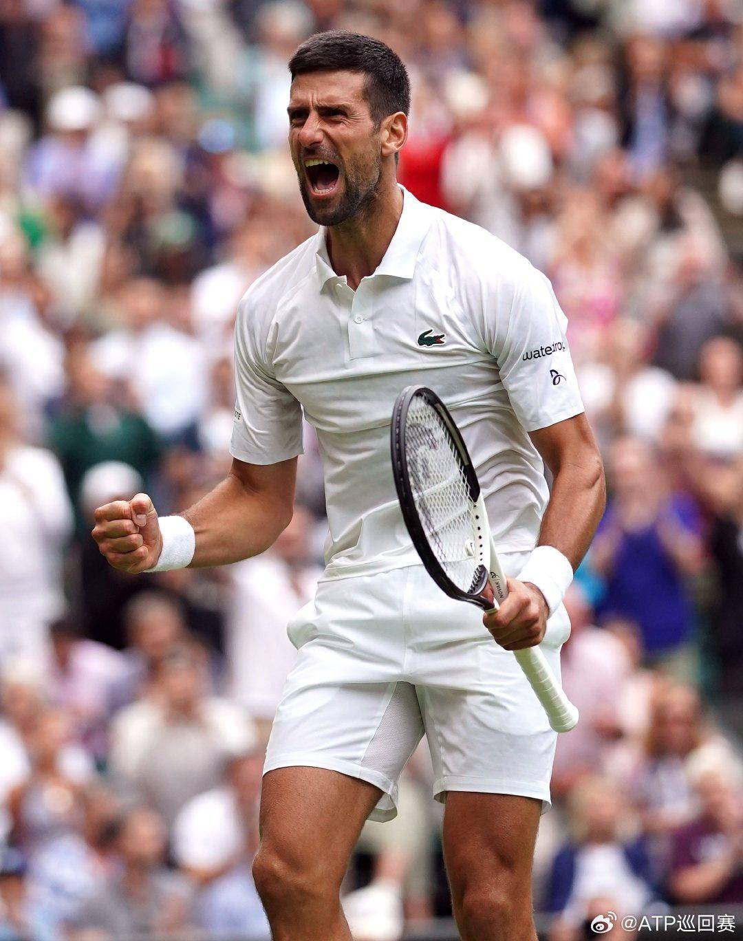 无尽的欢呼 无尽的欢呼