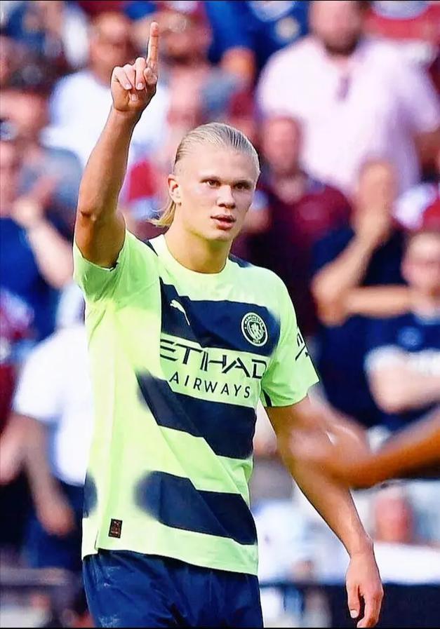 自然嵌入